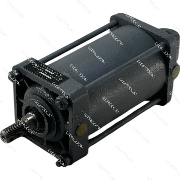 Пневмоцилиндр 1412-100*100