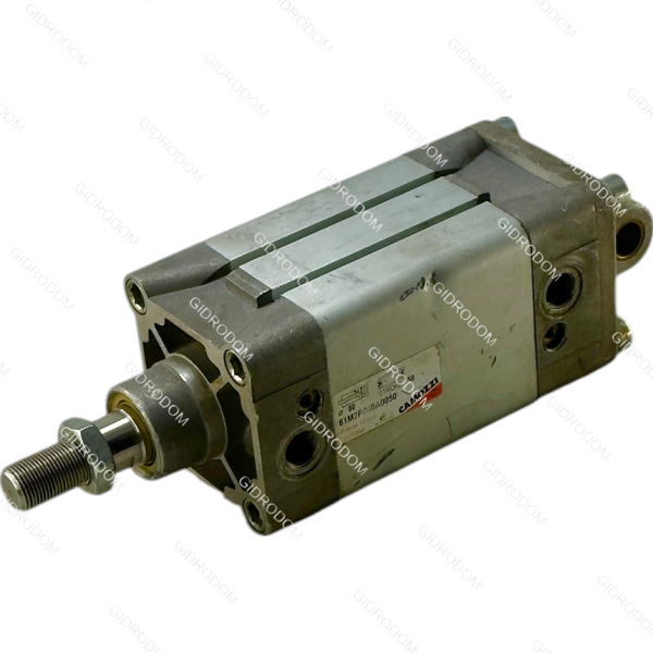 Пневмоцилиндр 61M2 P080A0050