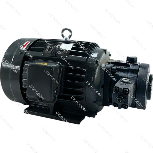 Насос пластинчатый регулируемый VCM-SF-40D-10