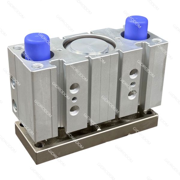 Пневмоцилиндр TCM50K30S16-F-X  AIRTAK